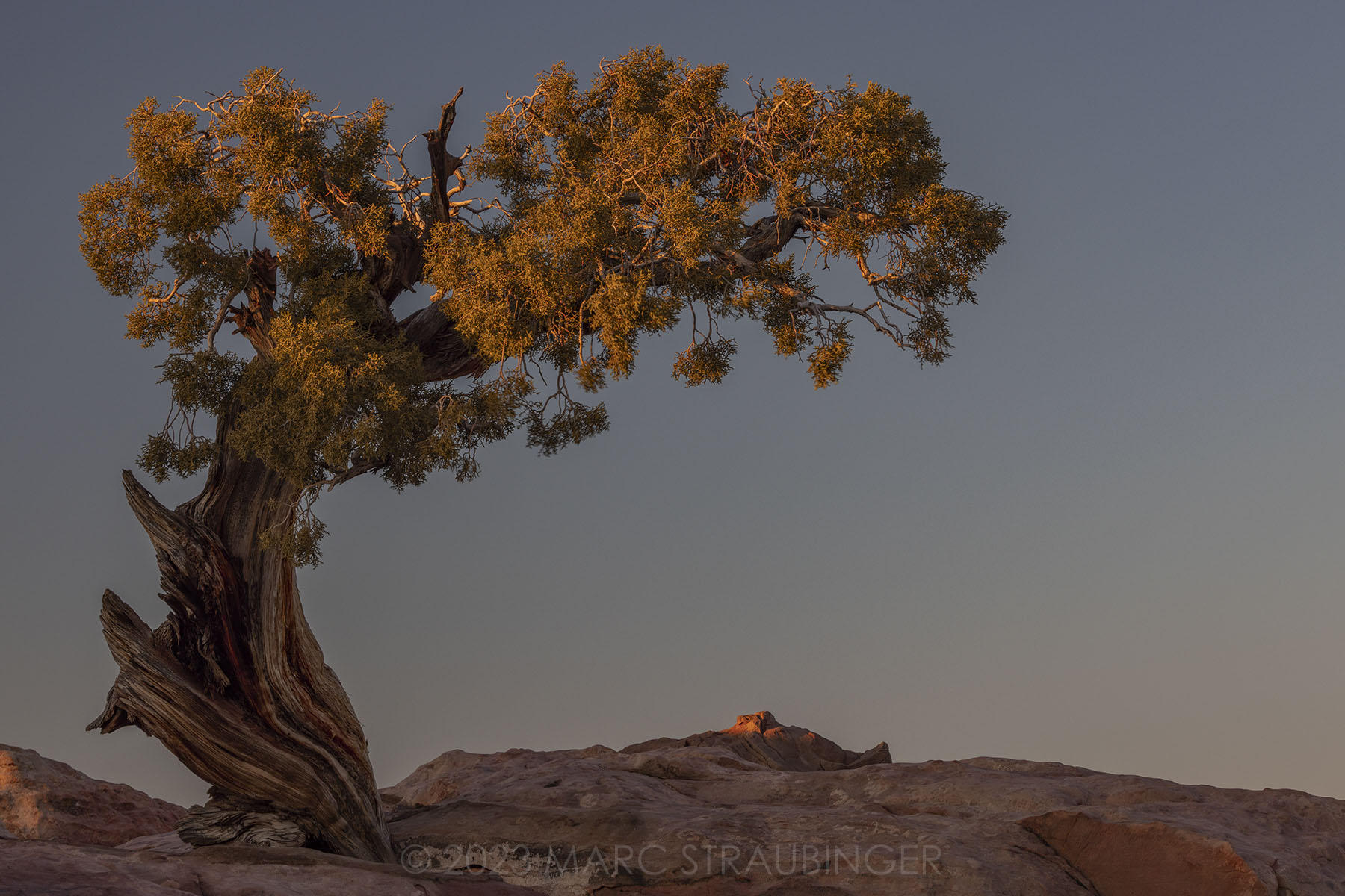 Landscape gallery preview